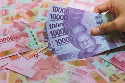 Pourquoi établir un budget prévisionnel chaque année ?